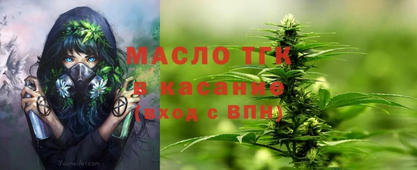 дживик Гусь-Хрустальный