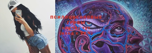 дживик Гусь-Хрустальный
