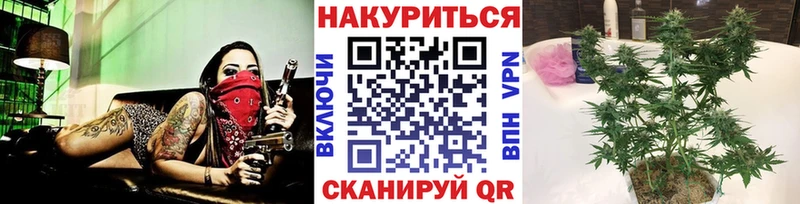 Купить где  Красный Сулин  Конопля марихуана 